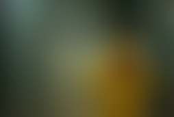 Фотография квеста Во все тяжкие от компании Квест-проект "Ответ близко" (Фото 1)