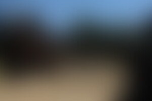 Фотография перформанса Дикий-Дикий Запад от компании DYSTOPIA (Фото 1)