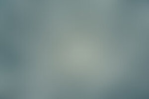 Фотография квеста Квест сумасшедшего от компании Перевернутый дом (Фото 1)