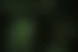 Фотография перформанса Село Забоевка от компании Quest Stars (Фото 2)