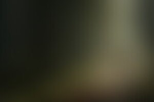 Фотография экшн-игры Голодные игры от компании Albion (Фото 1)