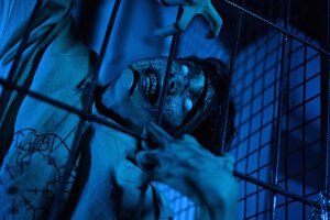 Фотография перформанса Приют от компании Indigo (Фото 1)