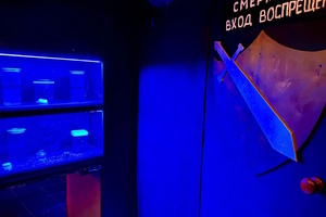 Фотография квеста Гравити Фолз от компании Изоляция (Фото 4)