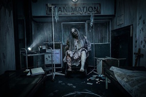 Фотография перформанса Phasmophobia от компании Дофамин (Фото 1)