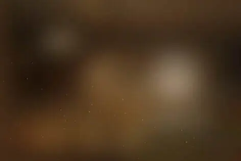 Квест «Хозяин» от ВыХод