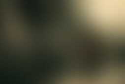 Фотография ролевого квеста В салуне Гленрио от компании Город квестов (Фото 1)